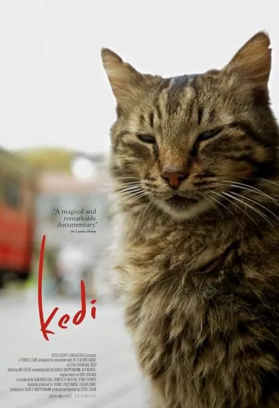  مستند Kedi 2016