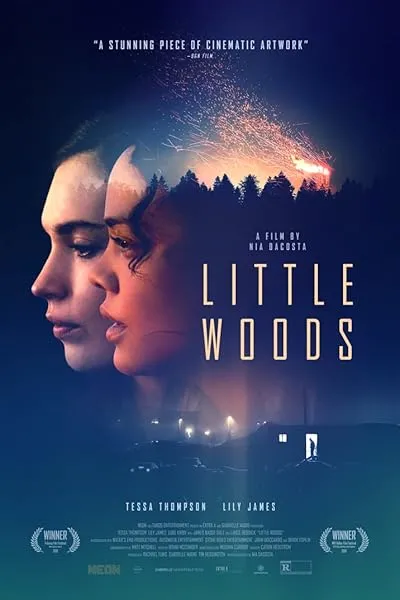  فیلم Little Woods 2018