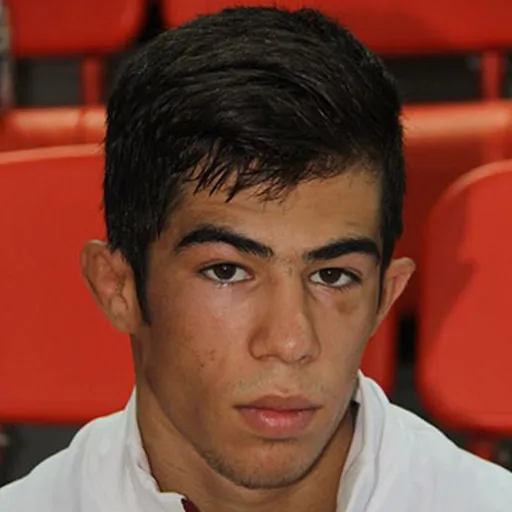 علیرضا گودرزی